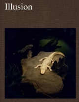Illusion - Edouard Caupeil