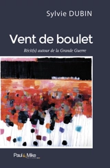 Vent de boulet : récits autour de la Grande Guerre - Sylvie Dubin