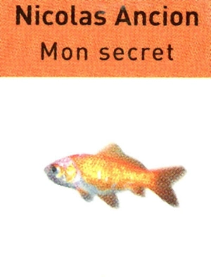 Mon secret - Nicolas Ancion