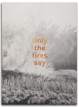 Alan Eglinton Only the fires say - Alan Eglinton