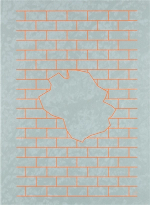 Oasis - Matthieu Litt