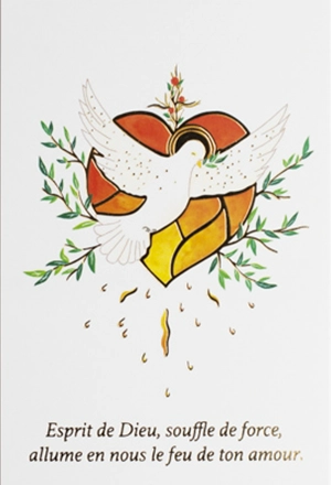 Lot 5 images confirmation « Esprit de Dieu, souffle de force, allume en nous le feu de ton amour » - La Commanderie