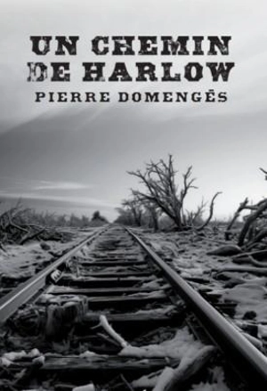 Un chemin de Harlow - Pierre Domengès