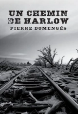 Un chemin de Harlow - Pierre Domengès