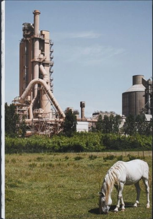 Beau caillou - Alexandre Dimos