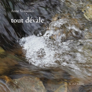 Tout dévale - Anne Versailles