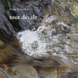 Tout dévale - Anne Versailles