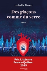Des glaçons comme du verre - Picard, Isabelle