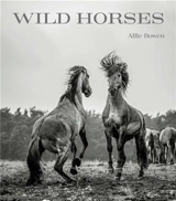 Alfie Bowen Wild Horses - Alfie Bowen