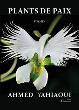 Plants de paix - Ahmed Yahiaoui