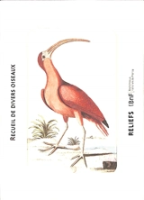 Recueil de divers oiseaux - Mark Catesby