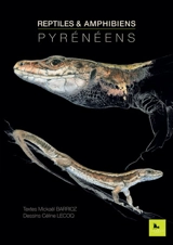 Reptiles et amphibiens pyrénéens - Mickaël Barrioz