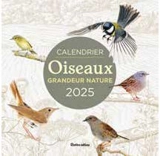 Oiseaux grandeur nature : calendrier mural 2025 - Guilhem Lesaffre