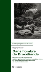 Dans l'ombre de Brocéliande : divertissements légendaires, quêtes spirituelles, recherche de bien-être... : la forêt de Paimpont à l'épreuve du tourisme de masse - Stephan Ferry