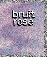 Bruit rose : Sasha Andrès, Nils Bertho, Lenthé Chris, Alison Flora...