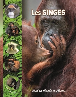 Les singes - Christine Baillet