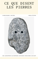 Ce que disent les pierres - Colombe Boncenne