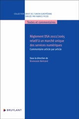 Règlement DSA 2022-2065 relatif à un marché unique des services numériques : commentaire article par article
