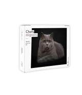 Semainier 2025 : Chats mignons - Julie Warnier