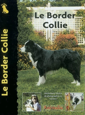 Le border collie - Stephen Sussam