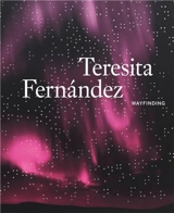 Teresita Fernandez Wayfinding - Denise Markonish