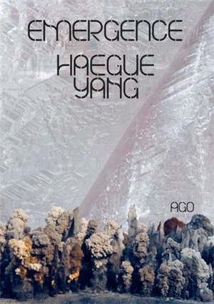 Haegue Yang Emergence - Jee-sook Beck