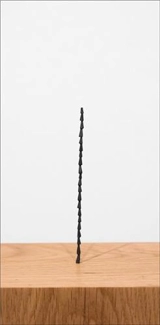 Shilpa Gupta Sun at Night - Urvashi Butalia