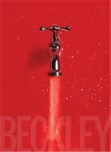 Bill Beckley and Narrative Art : The Word-Image Riddle and the Aesthetics of Beauty - David Carrier