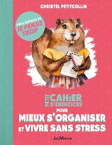 Petit cahier d'exercices pour mieux s'organiser et vivre sans stress - Christel Petitcollin