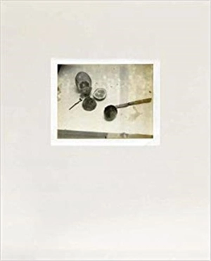 Laura Letinsky Time´s Assignation - Laura Letinsky