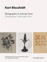 Karl Blossfeldt Photography in the Light of Art - Karl Blossfeldt
