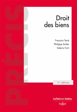 Droit des biens - François Terré