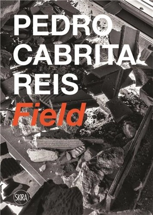 Pedro Cabrita Reis Field - Michael Short