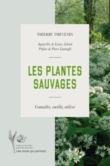 Les plantes sauvages : connaître, cueillir, utiliser - Thierry Thévenin