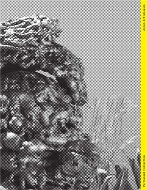 Permanent Collection Issue 05 - Heidi Zuckerman