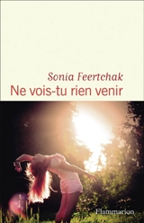 Ne vois-tu rien venir - Sonia Feertchak