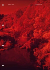 Red bloom - Alice Pallot