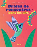 Drôles de rencontres dans les airs - Olivia Cosneau