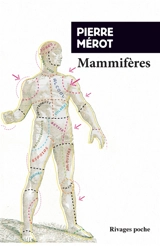 Mammifères - Pierre Mérot