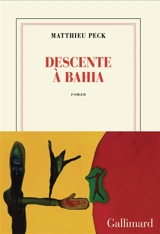 Descente à Bahia - Matthieu Peck