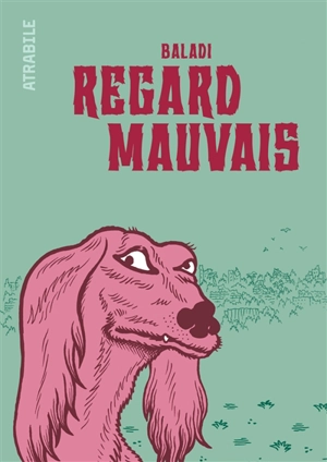 Regard mauvais - Baladi