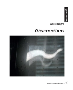 Observations : photographies - Adèle Nègre