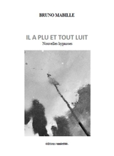 Il a plu et tout luit : nouvelles hypnoses - Bruno Mabille