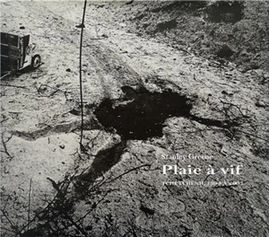 Plaie à vif : Tchétchénie, 1994-2003 - Stanley Greene