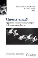 Chronosyntaxes : approches processives et dynamiques de la construction du sens
