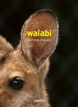 Walabi - Antoine Philias