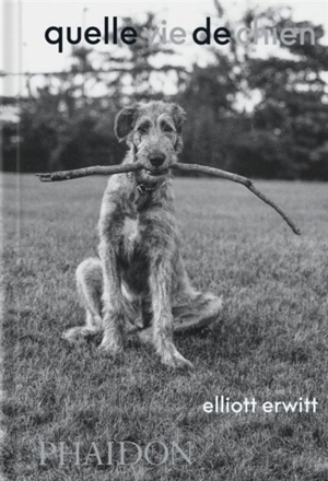 Quelle vie de chien - Elliott Erwitt
