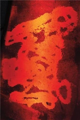 Rian Dundon : Passenger - Rian Dundon