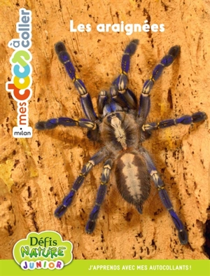 Bioviva : Les araignées - Pauline Payen