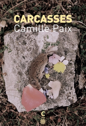 Carcasses - Camille Paix